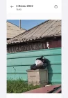 Жалоба-отзыв: Гульмира. Тазалык вывоз мусора в жанатурмысе - Жанатурмыс утопает в мусоре! Крысы, мыши, мухи.  Фото №1